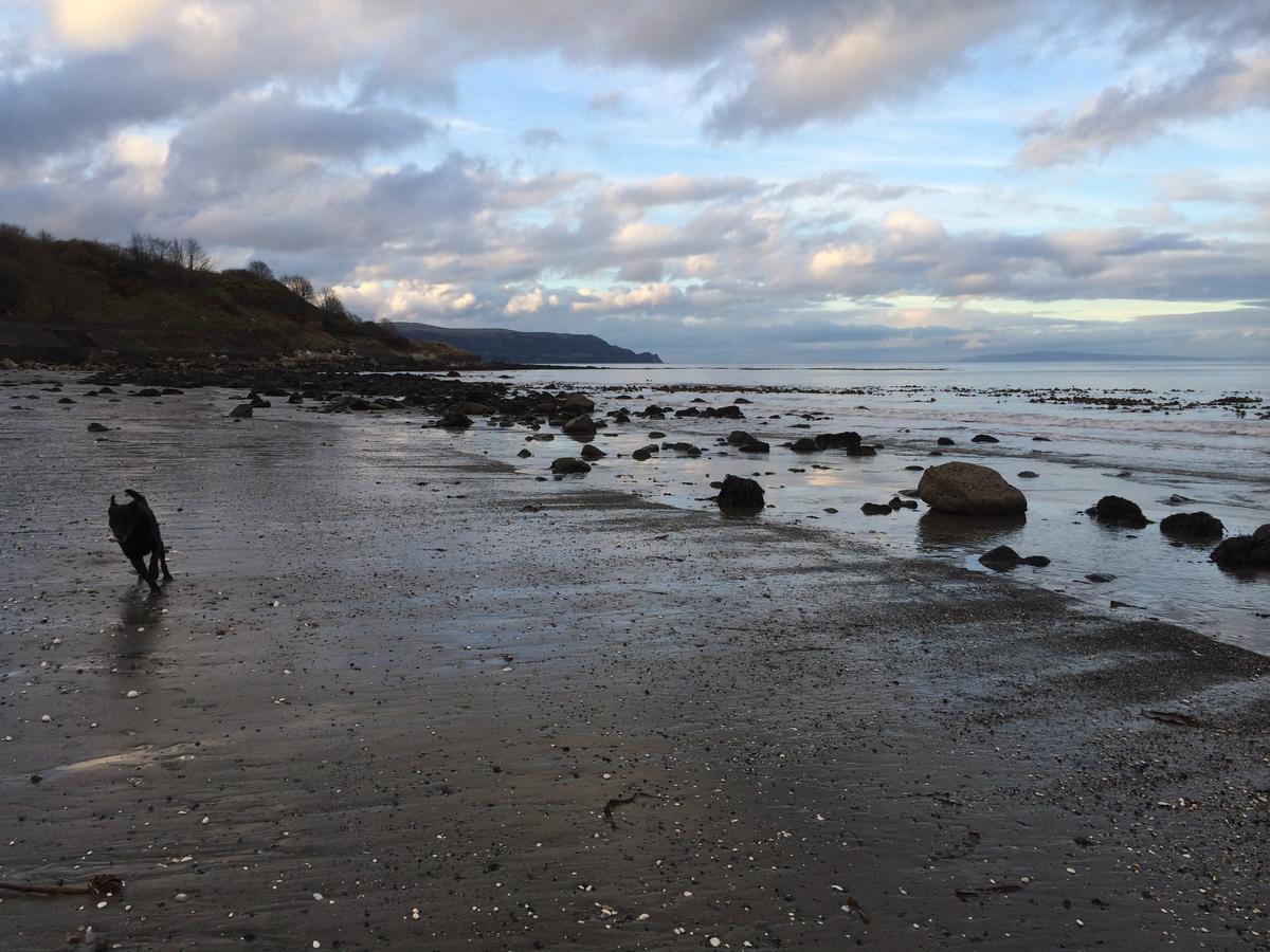 Josies Place At Waters Edge Self Catering Apartment Glenarm ภายนอก รูปภาพ